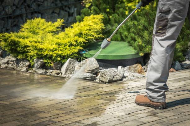 Best Dumpster Area Cleaning  in Montague, MI